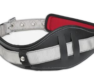 Lumbar Support For Belt